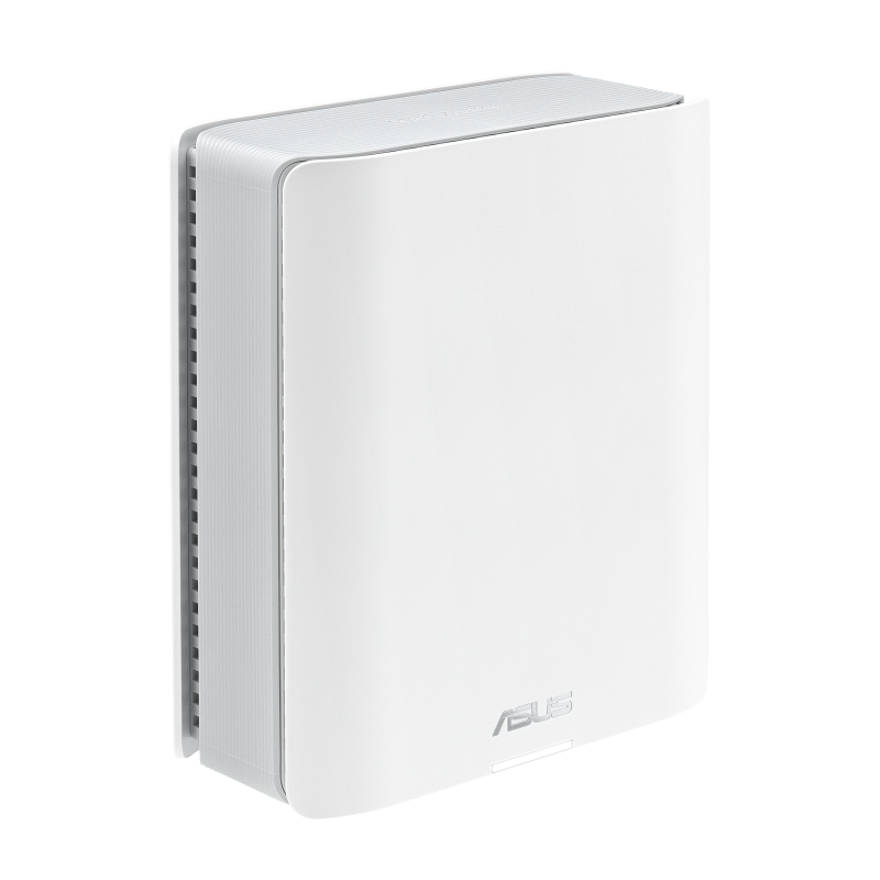BT10(W-2-PK)-1