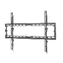 2-7-768x768 (1).webp