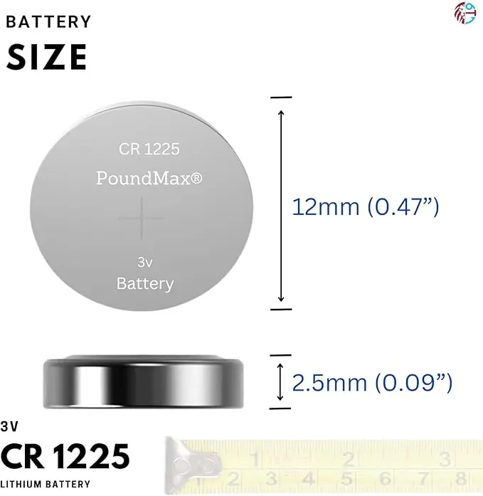 61PZwD+xzcL._AC_SX679_.webp