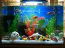 51EkFRs8MaL._AC_.webp