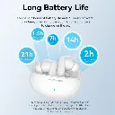 NBFB0 PIC 02 (1).webp