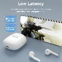 NBGB0 PIC 02 (1).webp