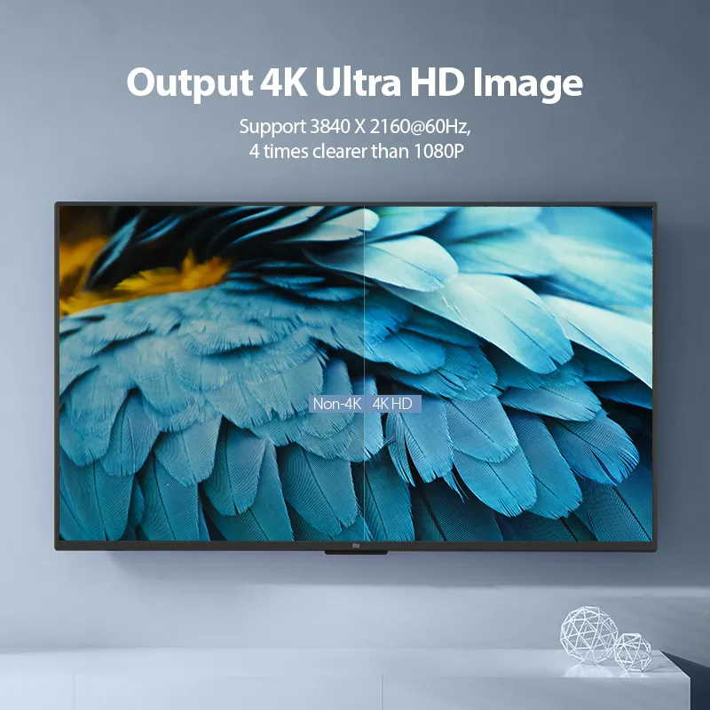 AAIBG PIC 02 (1).webp