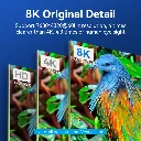 06.webp