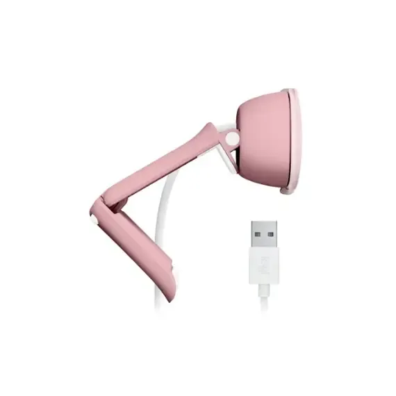 Logitech_Brio_100.webp