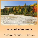 61r63Za5w6L._AC_SL1002_.webp