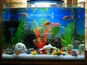 51LEQKg6NPL._AC_.webp