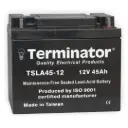 Terminator SLA Battery 12V-45Ah (Taiwan)