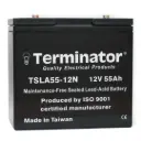 Terminator SLA Battery 12V-55Ah (Taiwan)