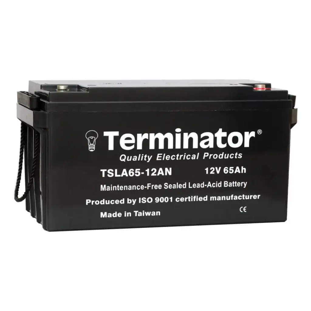 Terminator SLA Battery 12V-65Ah (Taiwan)