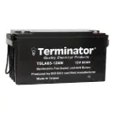 Terminator SLA Battery 12V-65Ah (Taiwan)