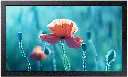 Samsung 13-Inch QBRM Series Commercial Display, Full HD, 300 nits, Built-in Media Player, Slim Design – LH13QBRMBGCXUE