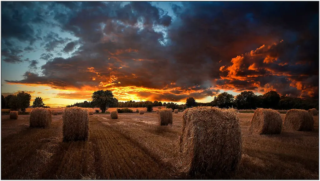 Samsung LH46VMBUBGBXUE 46-Inch Display, 500 24/7