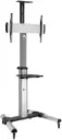 Newstar TTV04-46TW Manual Height Adjustable TV Stand – fits 37''-70'' screens up to 50kg, durable steel/aluminum build, smooth lift system, mobile design, Silver. TTV04-46TW