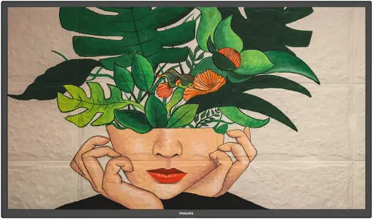 PHILIPS 43BDL4550D 43" 4K display 1.07B