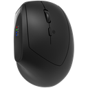 CANYON mouse MW-25 Ergonomic LED AA Dual mode Wireless Black