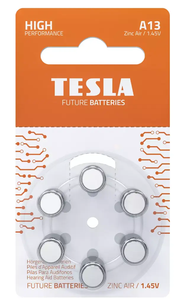 Tesla Hearing Aid (Pr48-Blister 6pcs)