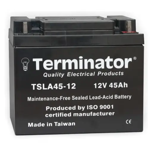 [TSLA 45-12] Terminator SLA Battery 12V-45Ah (Taiwan)