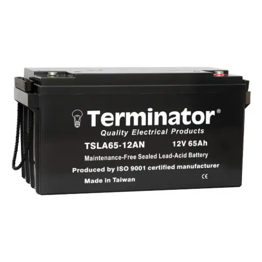 [TSLA 65-12AN] Terminator SLA Battery 12V-65Ah (Taiwan)